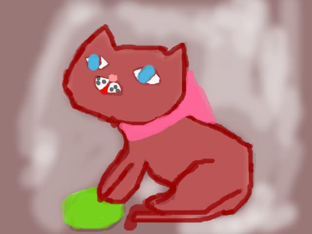 Cat :X:*