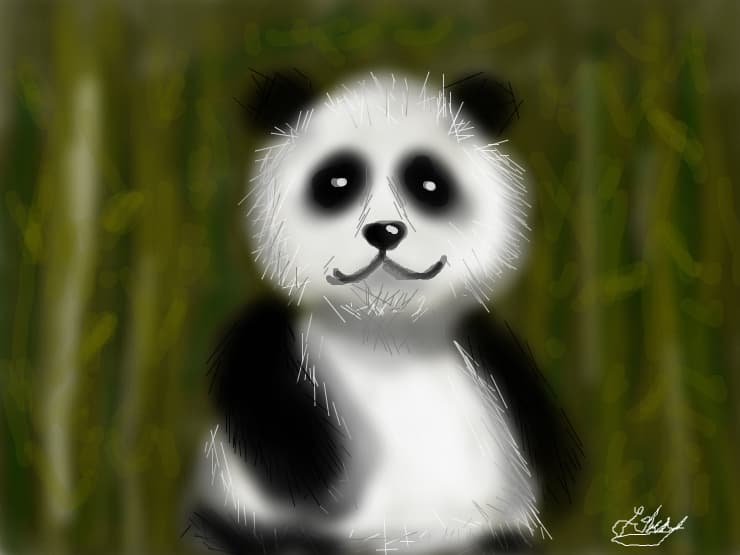 cute panda