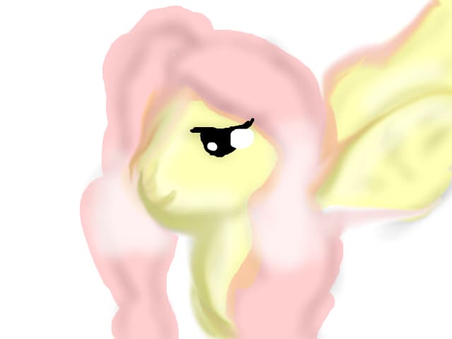 pony