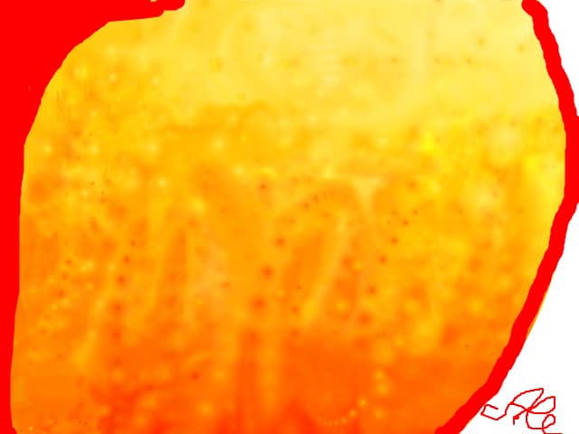 Alessuta