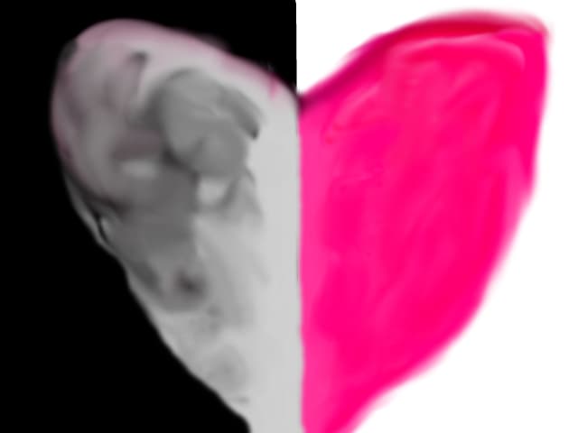 1 Heart 2 Sides (Dark-Hate &amp; Light-Love)
