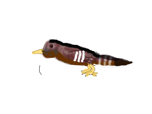 Vrabie