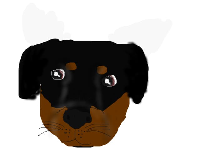 Rottweiller rugator