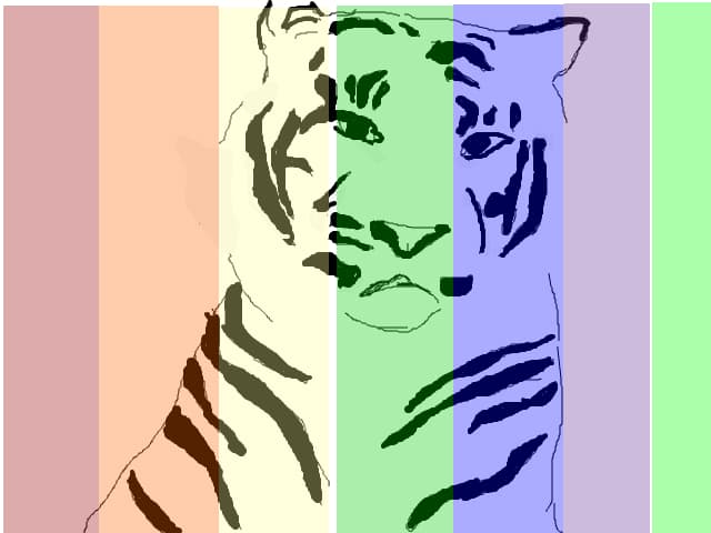 Rainbow tiger