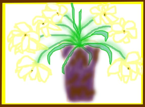 planta