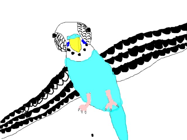 Perus