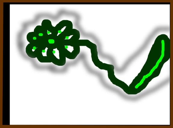 o  floare  verde