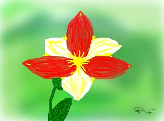 Floricica