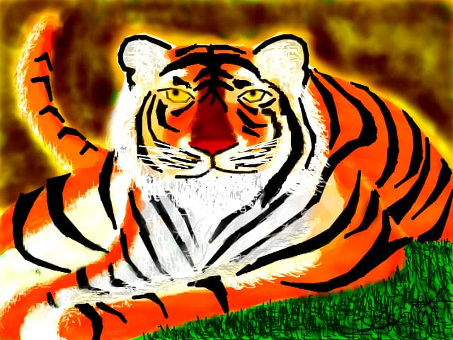 tiger