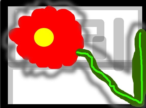 o        floare