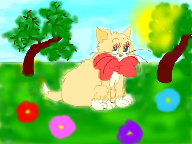 Cat