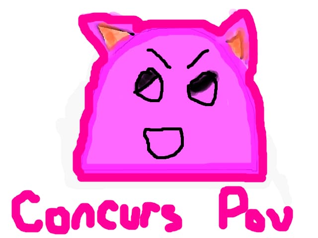 Concrus pOU DETALII COMENTARIU