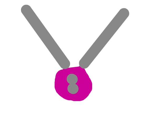 .andra