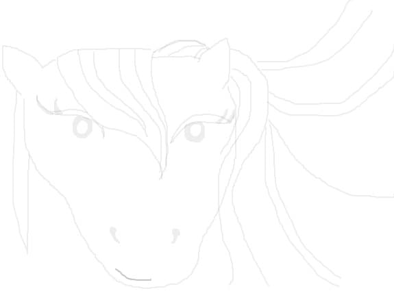 horse