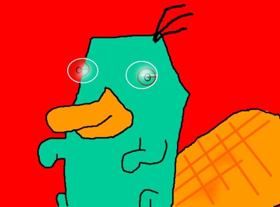 perry ornitorincul
