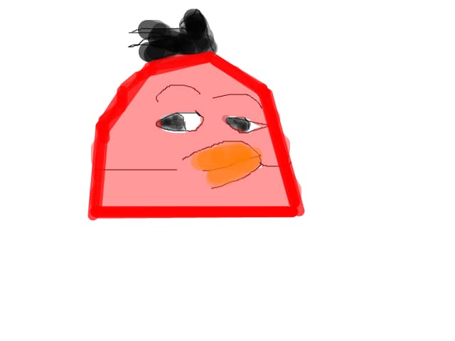 Poul -ANGRY BIRDS