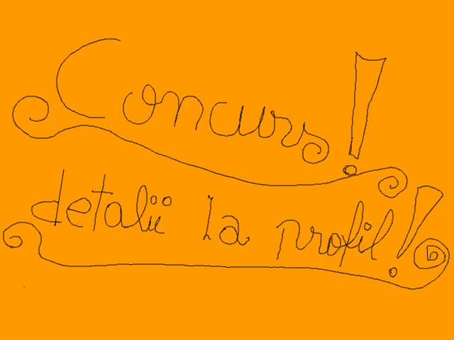 Concurs