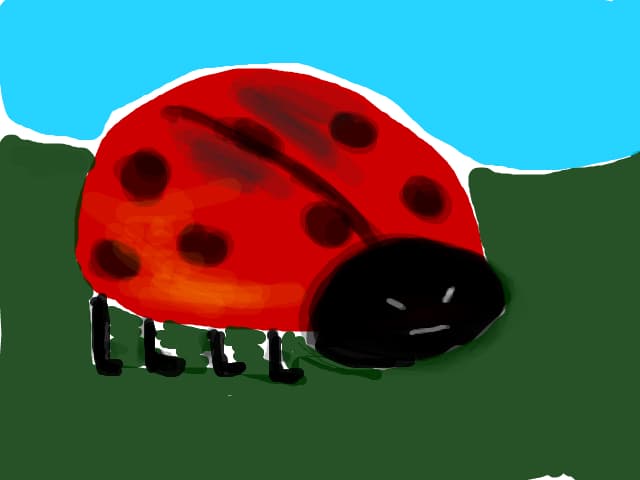 Desen #1937860