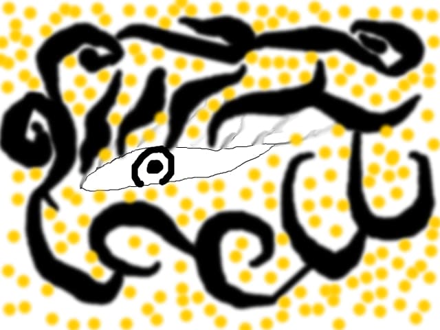 v,