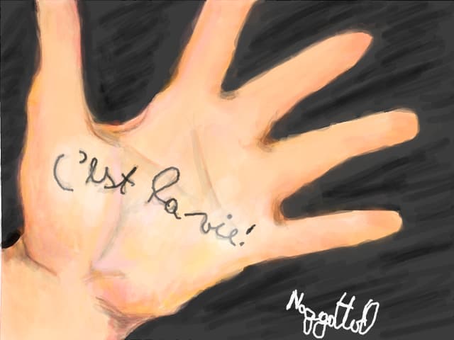 C`est la vie ! :)