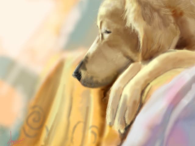 Afternoon sleep