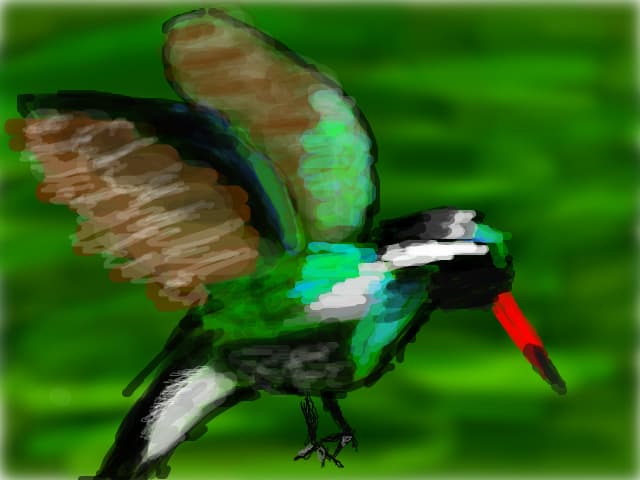 Colibri