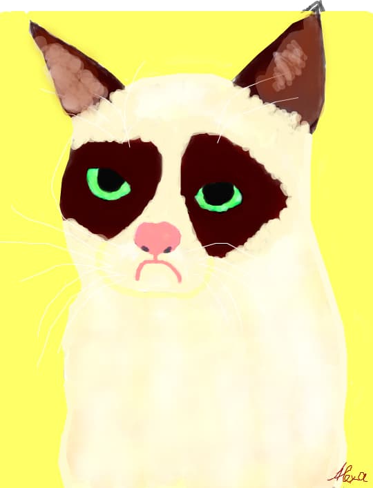 Grumpy Cat