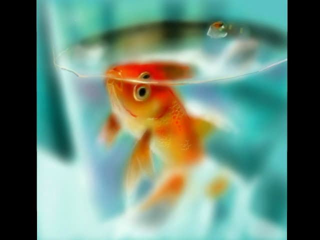 Goldfish