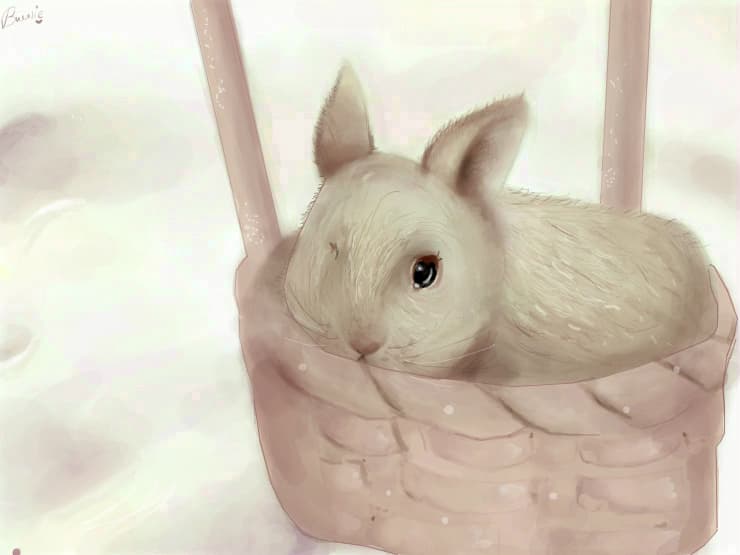happy Easter c: