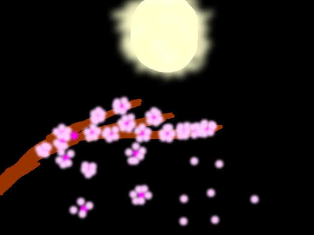 Sakura in miez de noapte