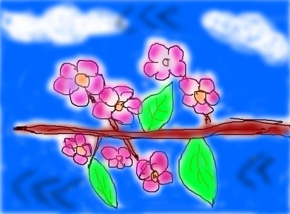 flori