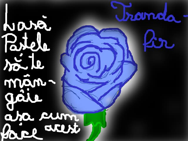 TRANDAFIR