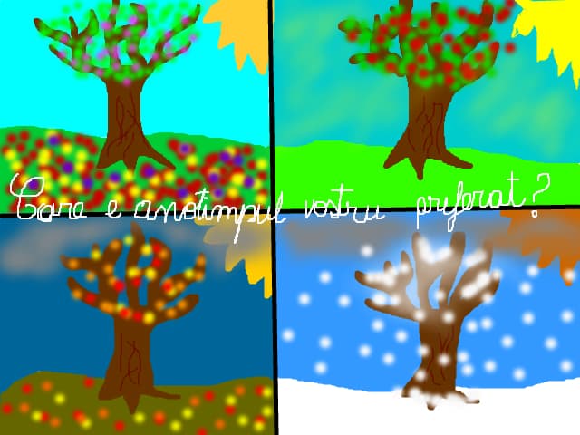 Care e anotimpul vostru preferat?
