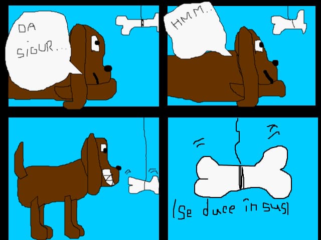 \'Dogs VS Cats\'