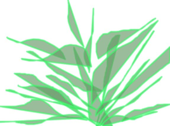 floric
