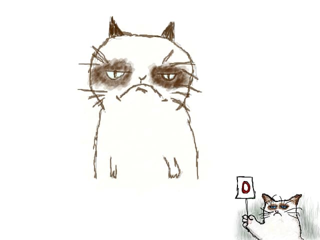 Grumpy cat.