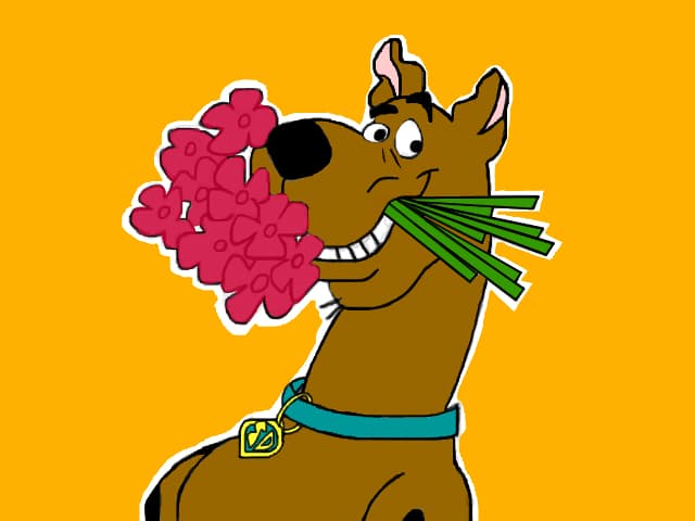 Scoob\'