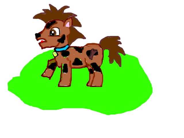 ScoobyDoo ponei