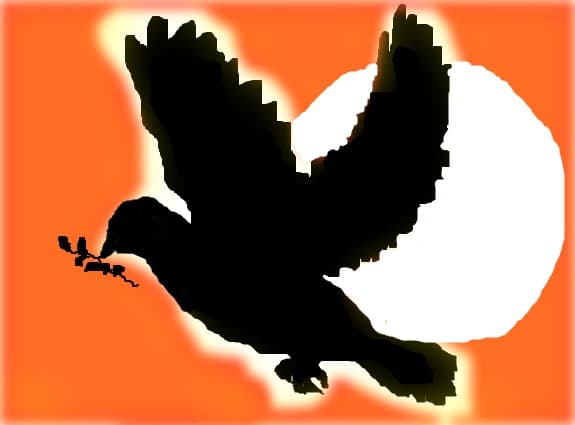 Dove