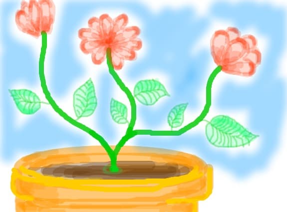 flori