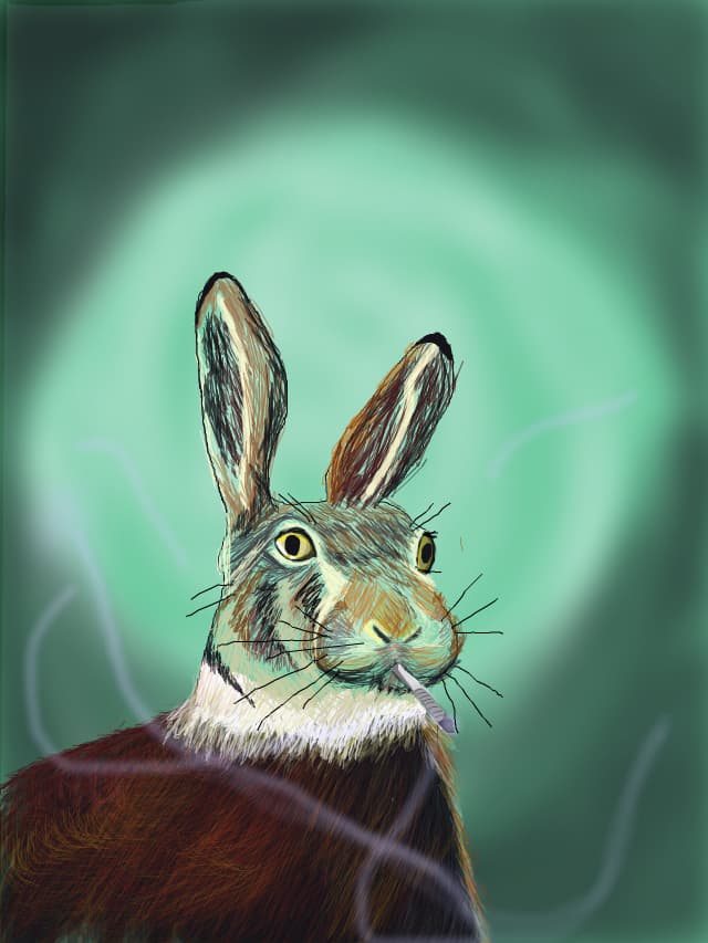 Pass the joint B.Bunny