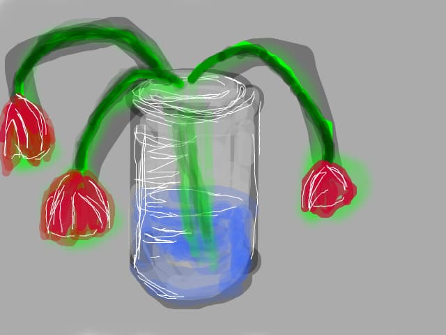 flori