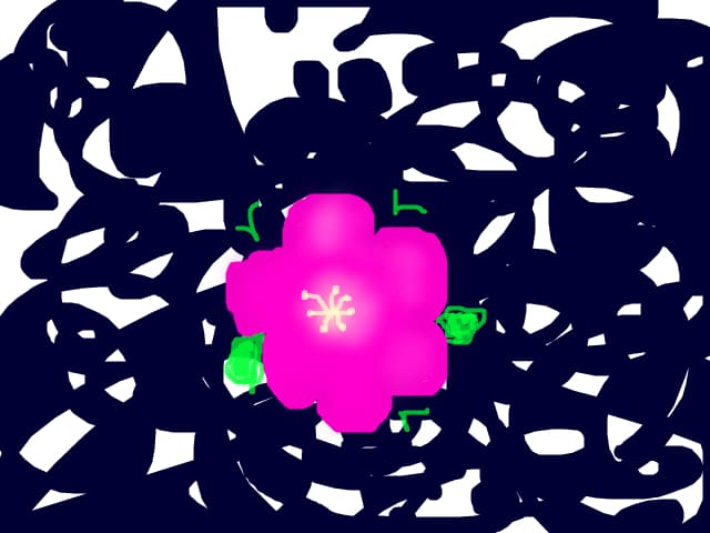 floricica