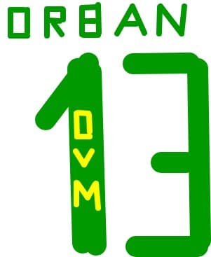 ovmpresentz: 13.sandu orban