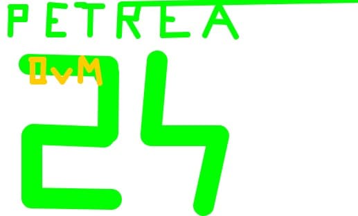24.Cosmin  ,,Minu" Petrea
