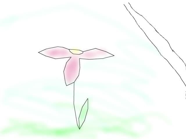 Floarea