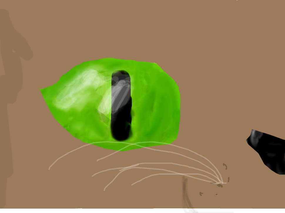 Cat eye