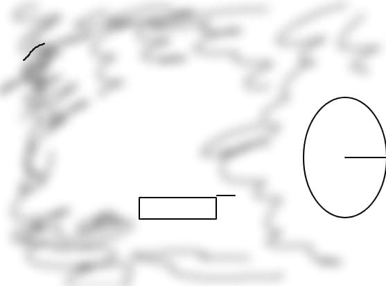 Danydy