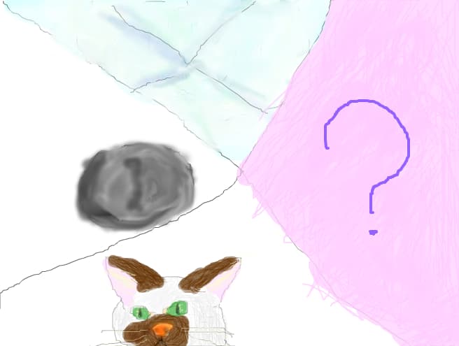 4 desene realistice