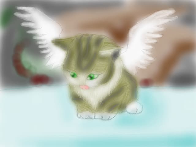 the angel :3